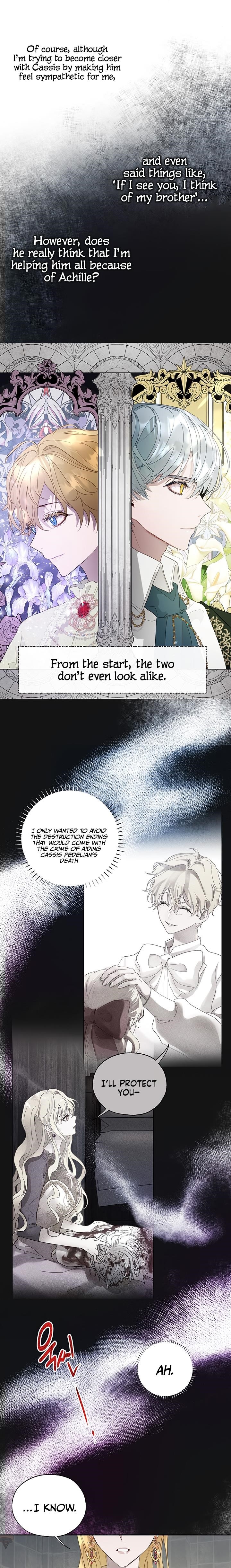 How to Protect the Heroine’s Older Brother Chapter 22 - Page 5