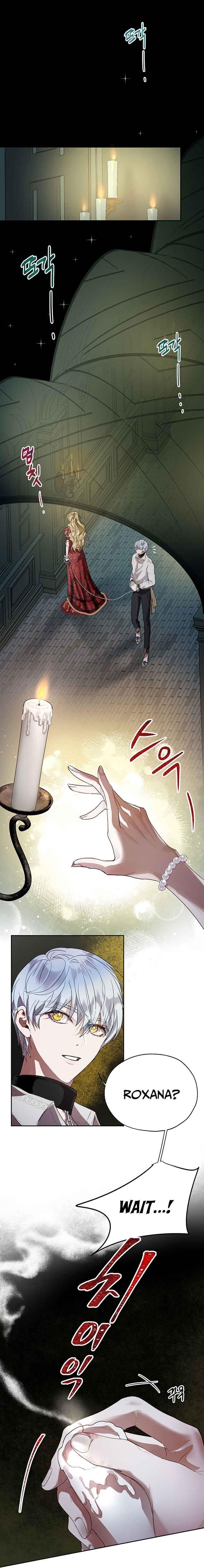 How to Protect the Heroine’s Older Brother Chapter 25 - Page 1