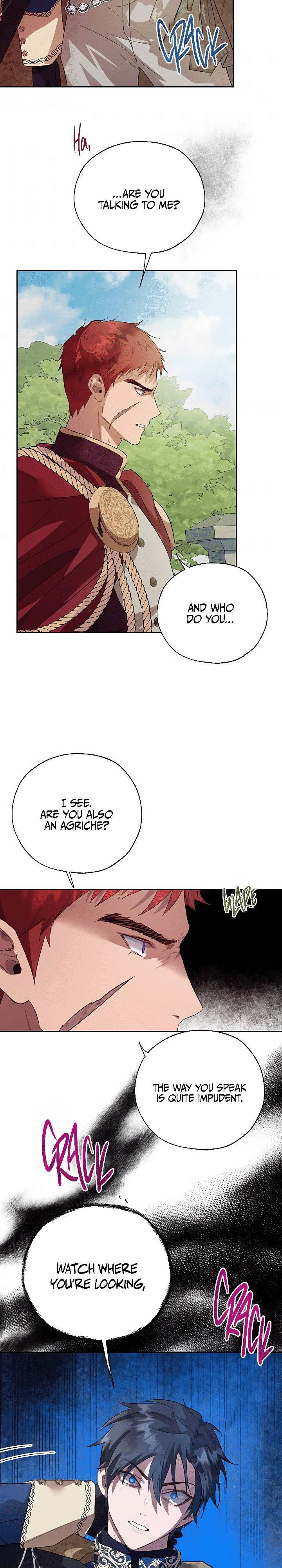 How to Protect the Heroine’s Older Brother Chapter 31 - Page 13