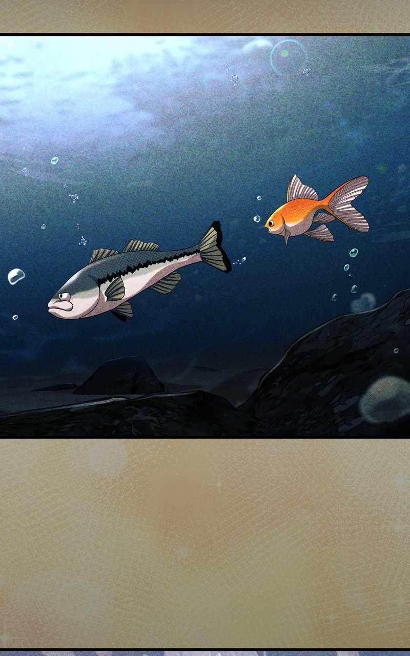 Surviving as a Fish Chapter 56 - Page 72