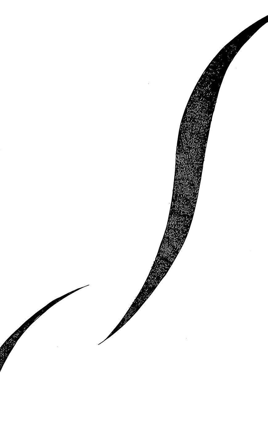 Aku no Hana Chapter 56 - Page 22