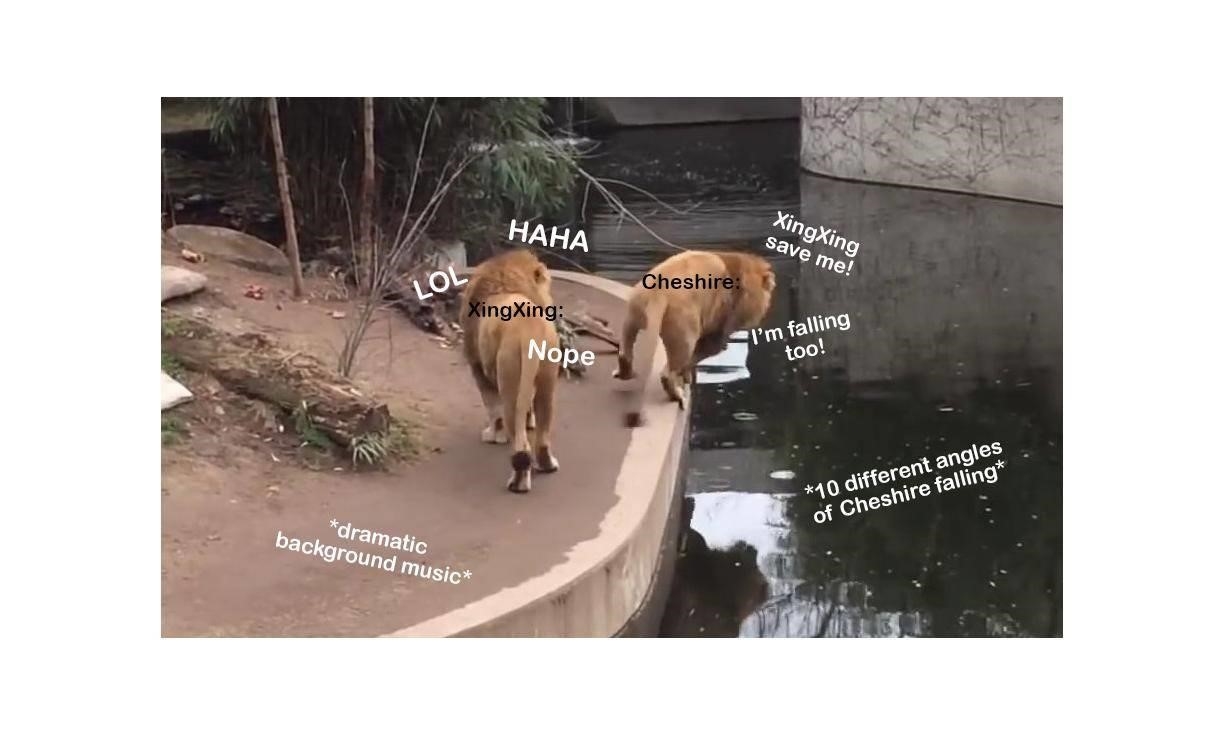 The Grandmaster of Demonic Cultivation Chapter 217 - Page 34