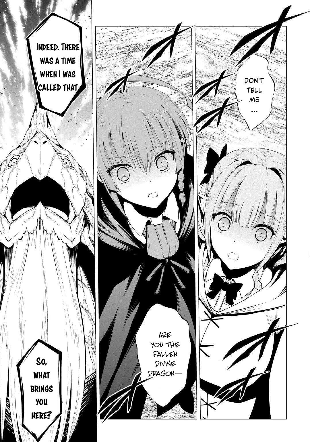 Evil Dragon Reincarnation Chapter 45 - Page 11