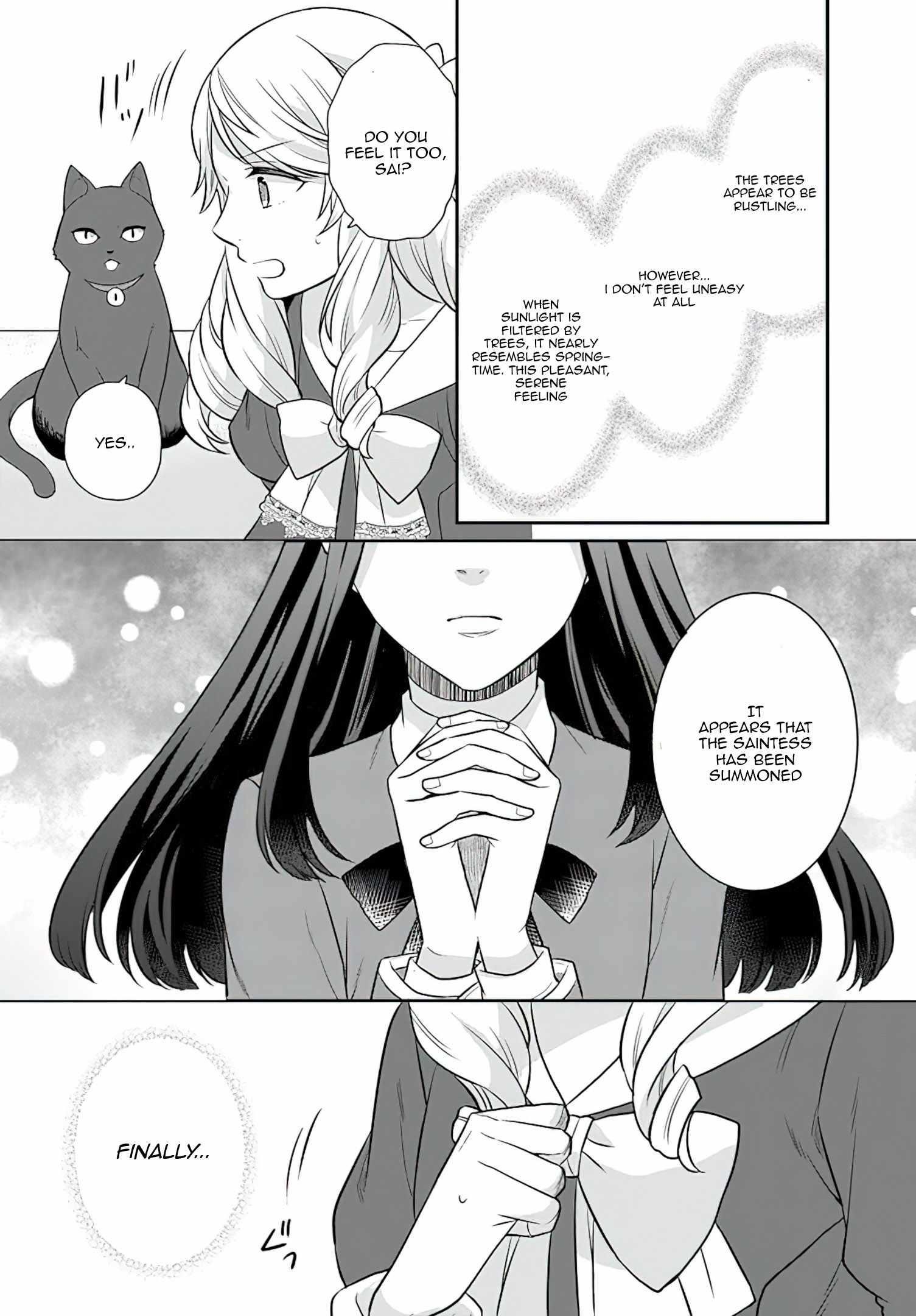 As a Result of Breaking an Otome Game, the Villainess Young Lady Becomes a Cheat! Chapter 26 - Page 8