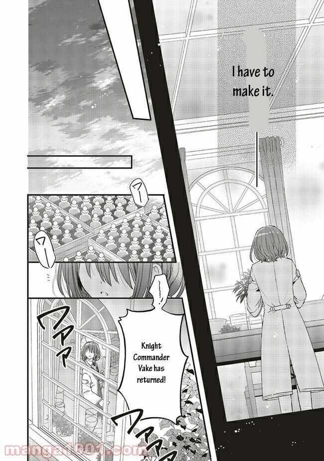 I reincarnated as a hero’s childhood friend who lost her job as a heroine, so I changed jobs to alchemist Chapter 16.1 - Page 13