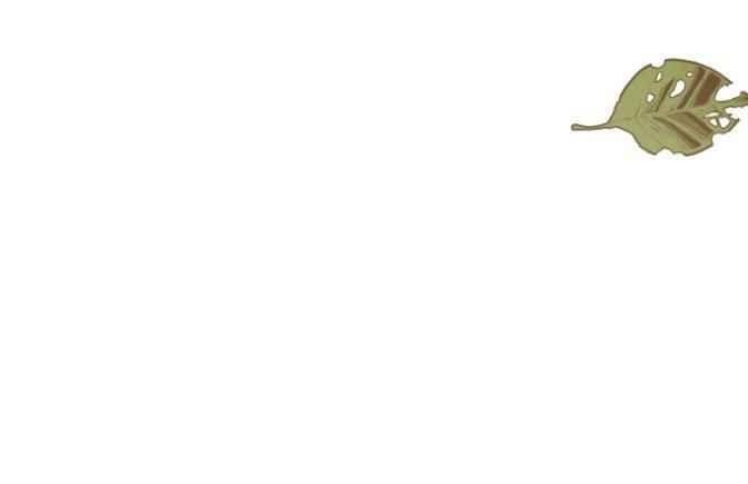 I’m Stanning the Prince Chapter 45 - Page 43