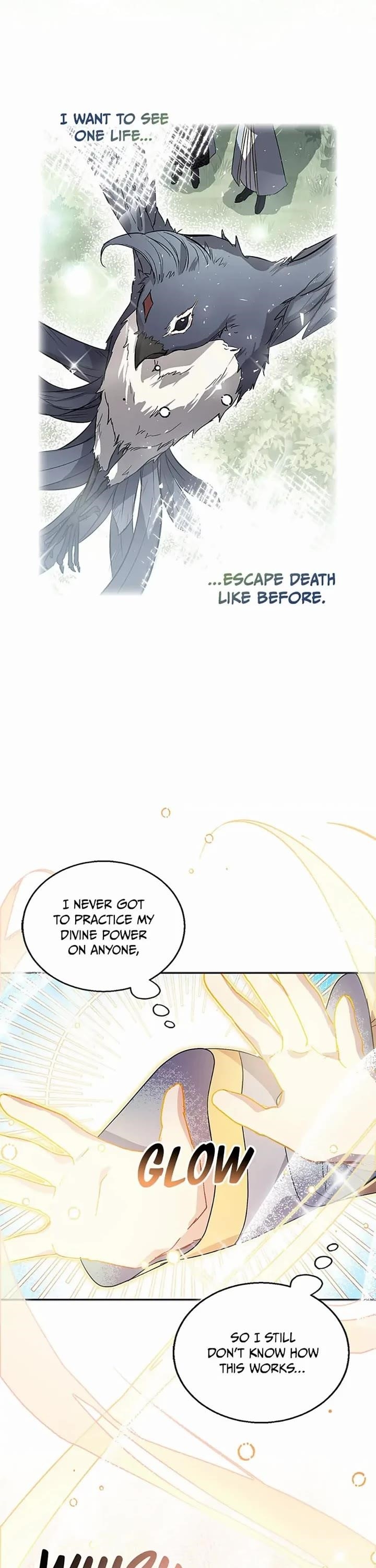 I’M A Fake Saintess But The Gods Are Obsessed Chapter 27 - Page 27