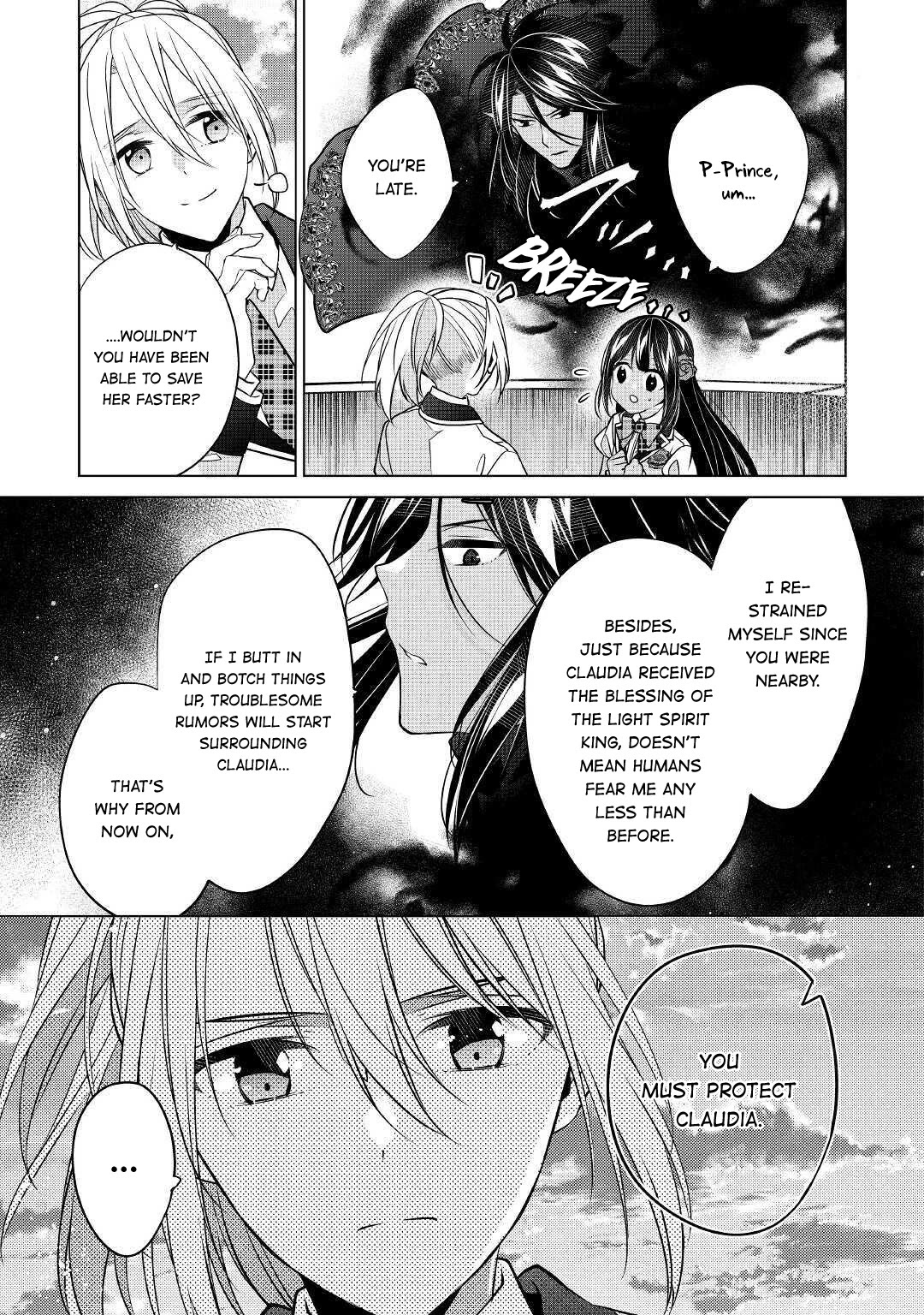 I’m Not a Villainess!! Just Because I Can Control Darkness Doesn’t Mean I’m a Bad Person! Chapter 13 - Page 25