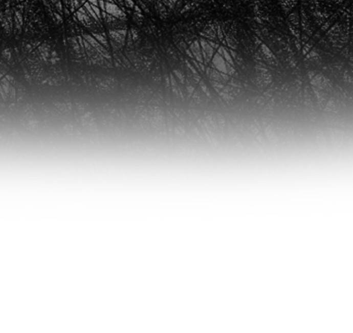 Survive Romance Chapter 18 - Page 62