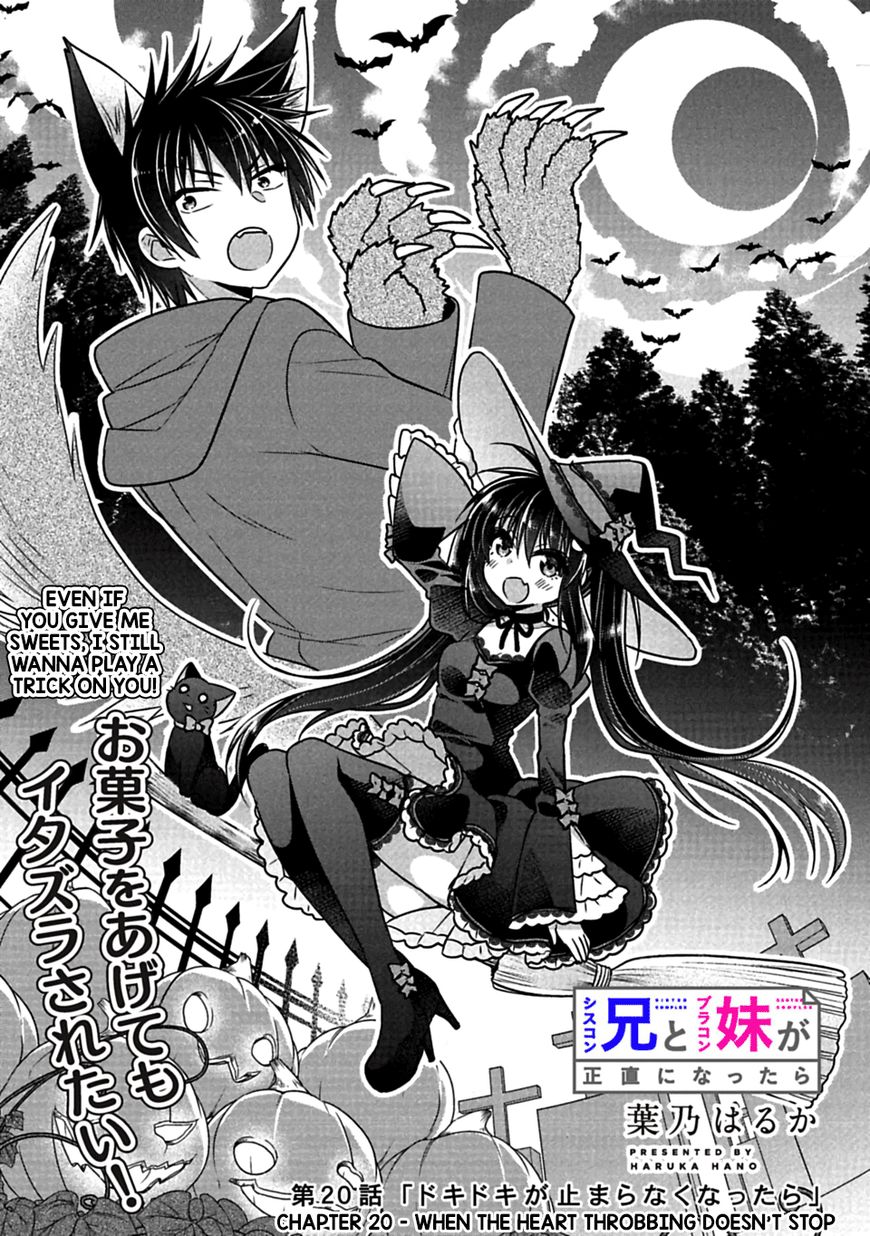 SISCON ANI TO BROCON IMOUTO GA SHOUJIKI NI NATTARA Chapter 20 - Page 2