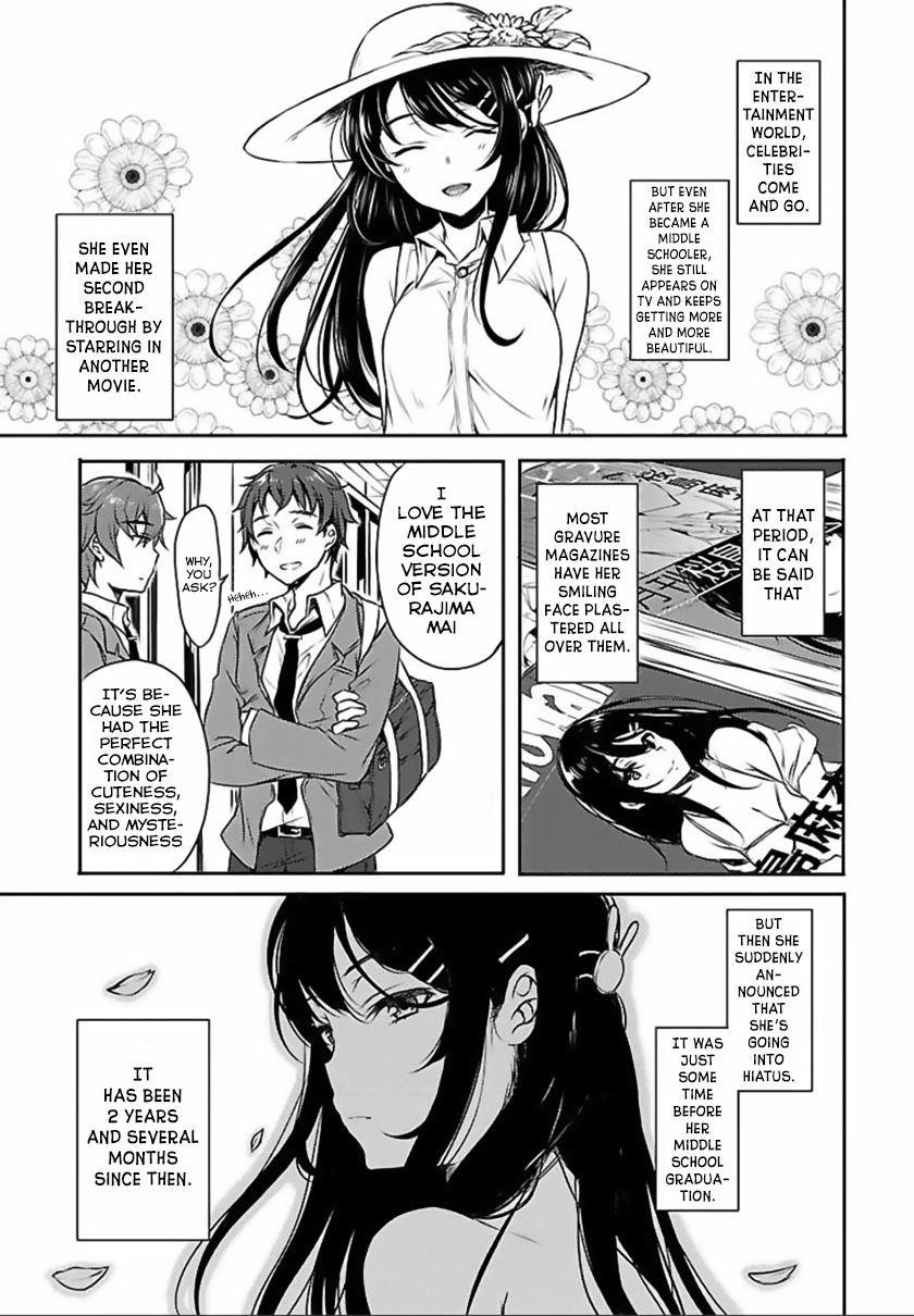 Rascal Does Not Dream of Bunny Girl Senpai Chapter 1 - Page 15