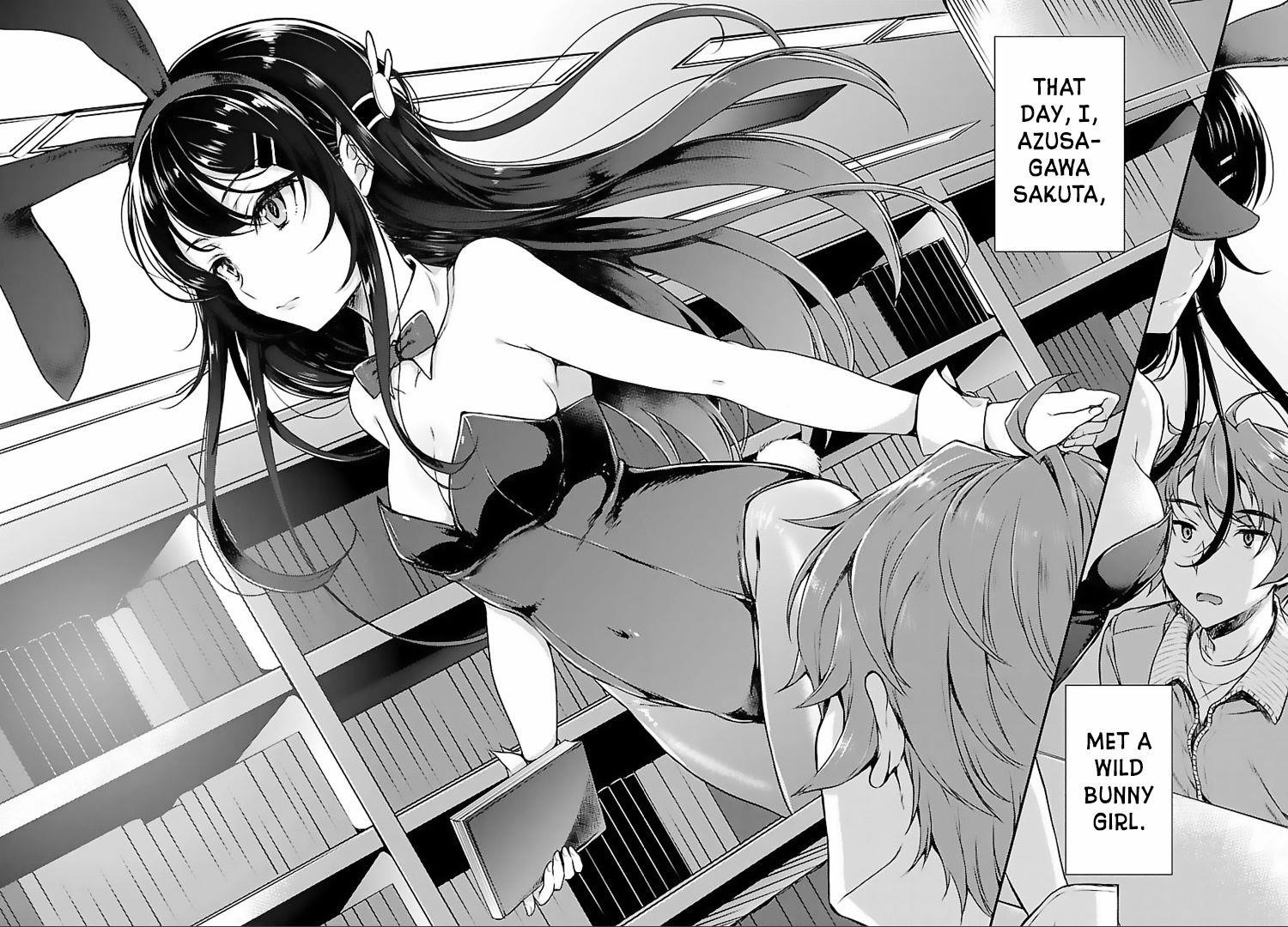 Rascal Does Not Dream of Bunny Girl Senpai Chapter 1 - Page 3
