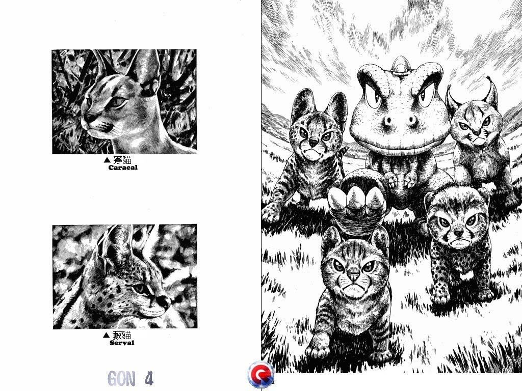 Gon Chapter 15 - Page 17