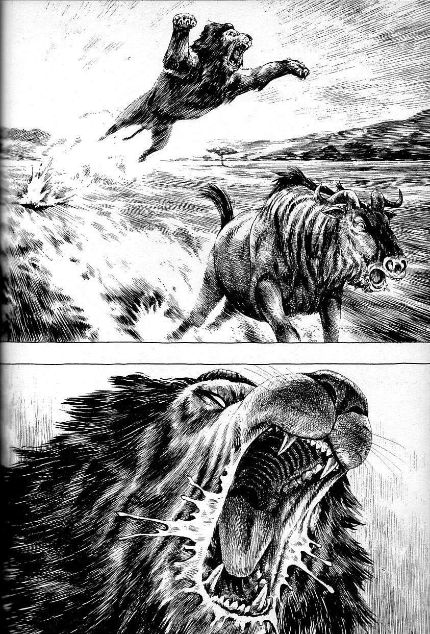 Gon Chapter 2 - Page 21