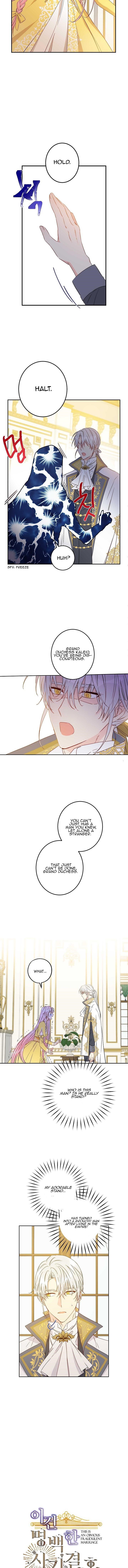 This Is An Obvious Fraudulent Marriage Chapter 49 - Page 4