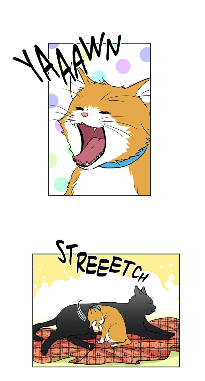 My Cute Beast Chapter 46 - Page 2