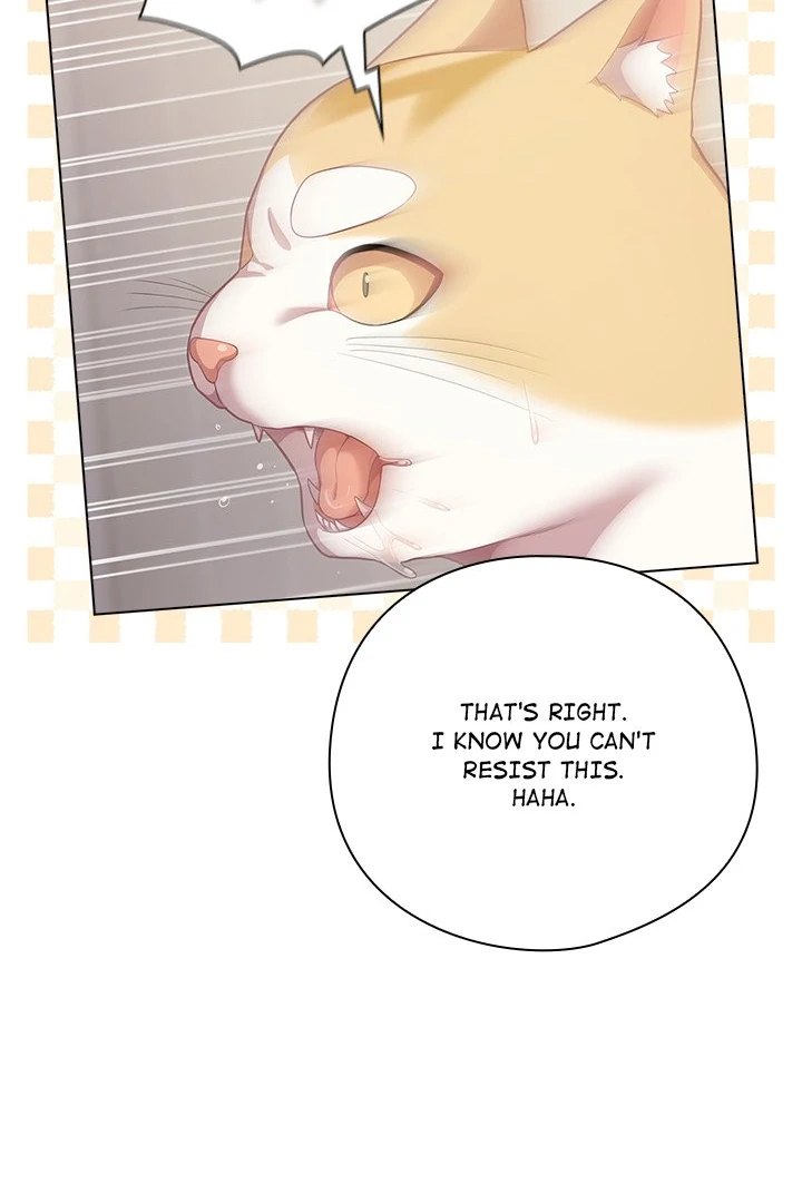 The General Is Here! Chapter 33 - Page 66