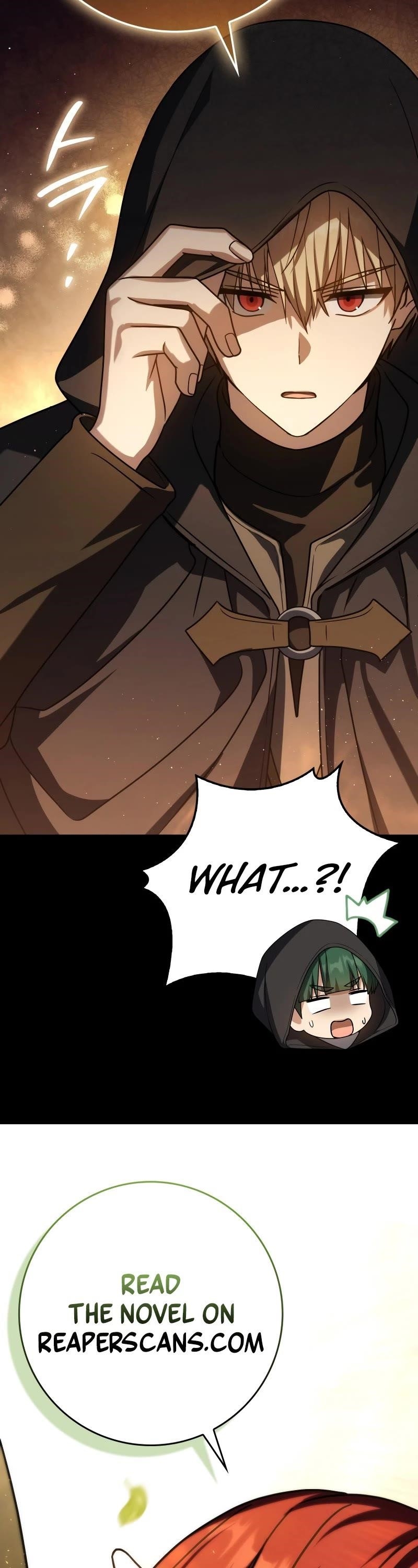 The Reincarnated Assassin is a Genius Swordsman Chapter 58 - Page 65