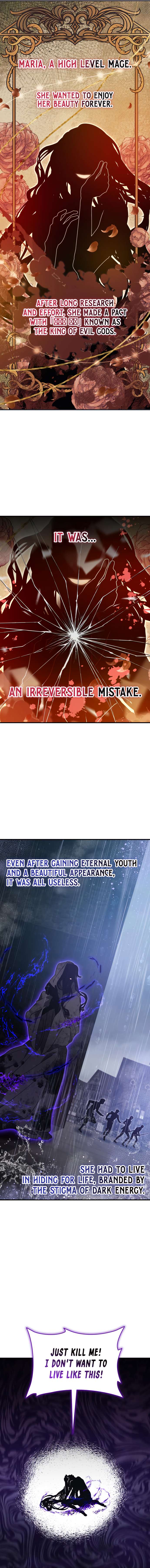 Become a Legendary Arch Mage by Reading a Book Chapter 63 - Page 9