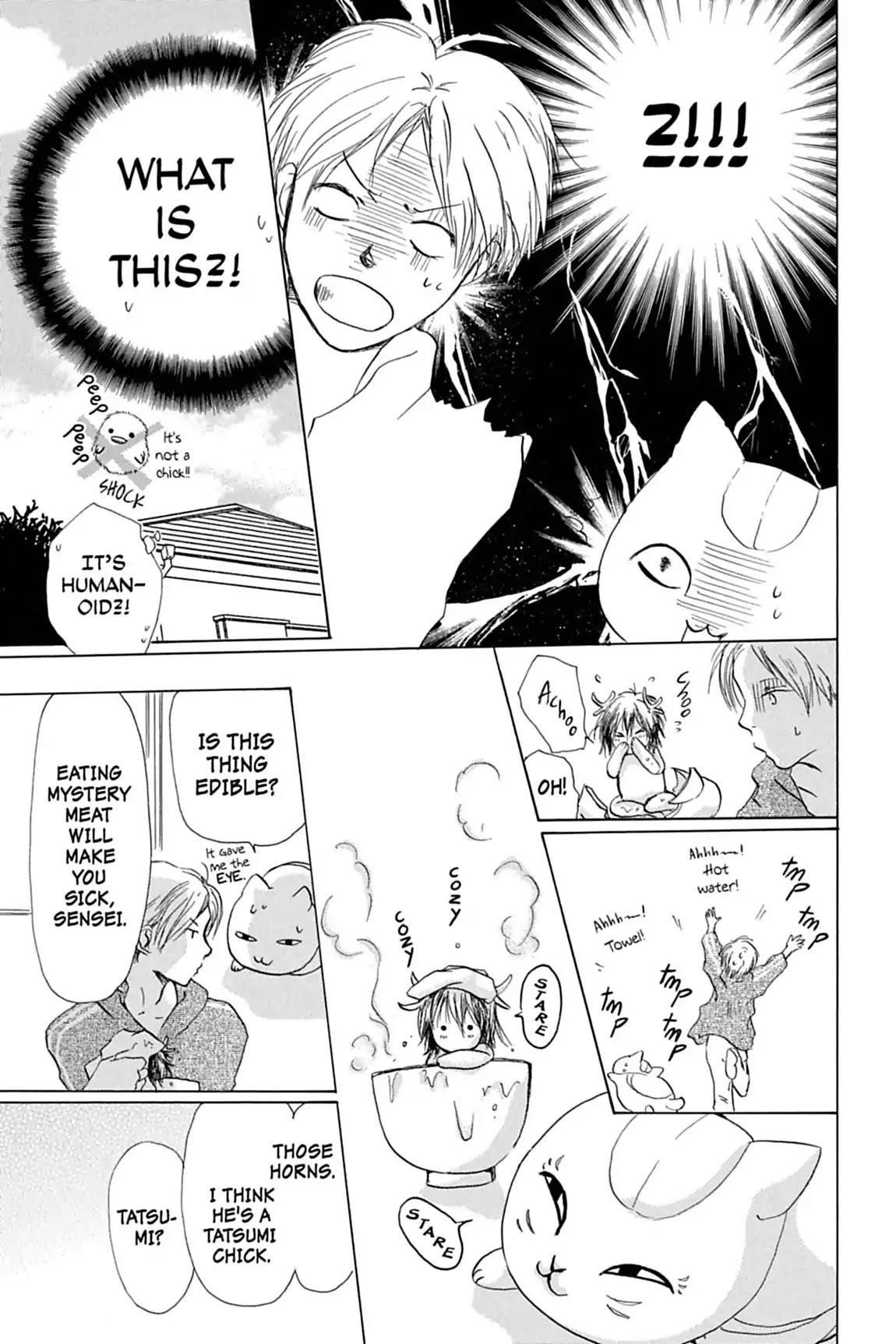 Natsume’s Book of Friends Chapter 12 - Page 17