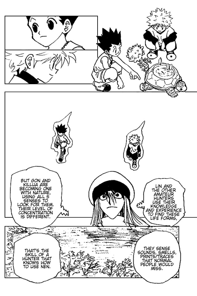 Hunter x Hunter Chapter 186 - Page 12