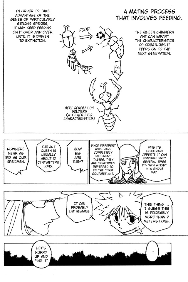 Hunter x Hunter Chapter 187 - Page 12
