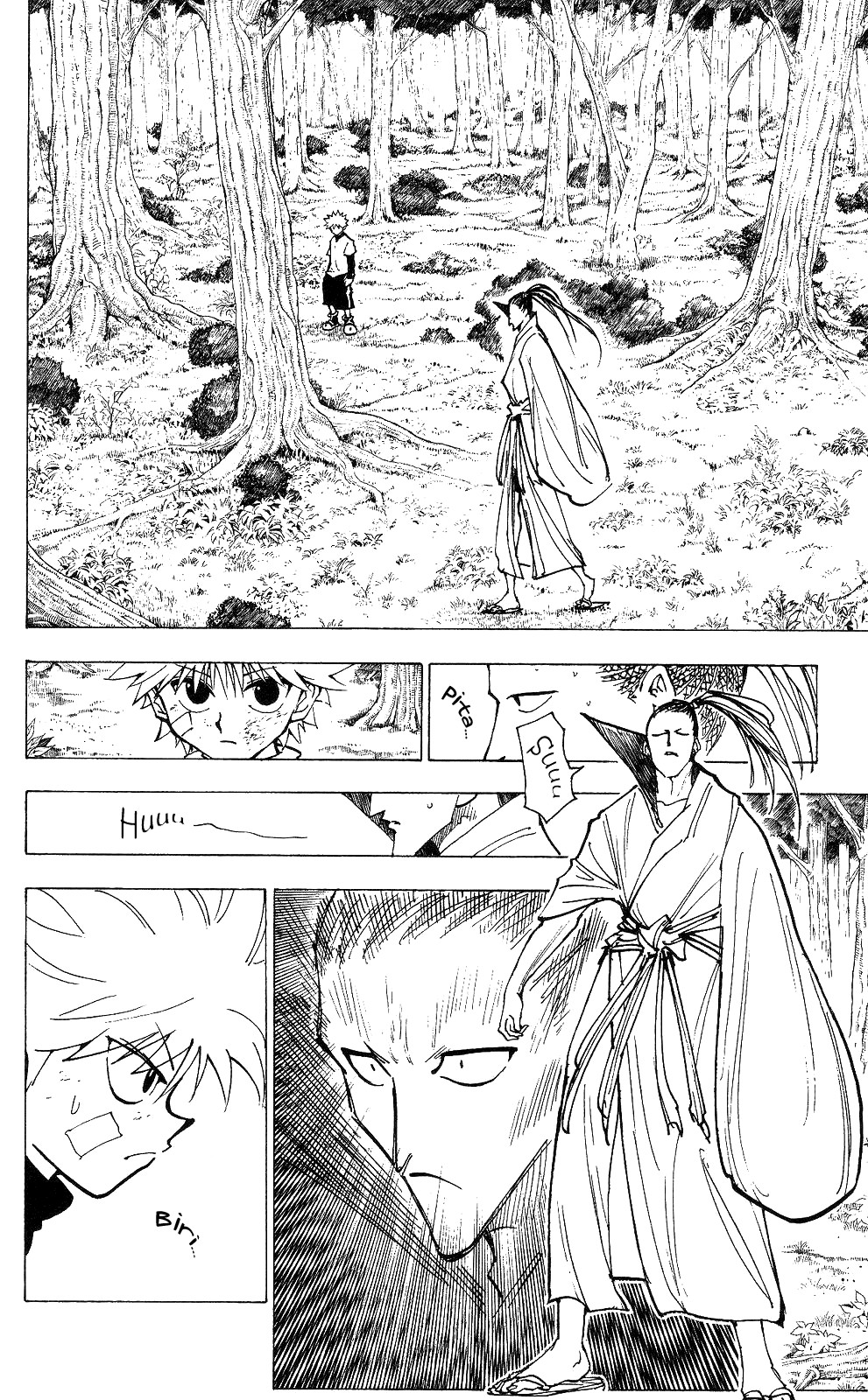 Hunter x Hunter Chapter 211 - Page 14
