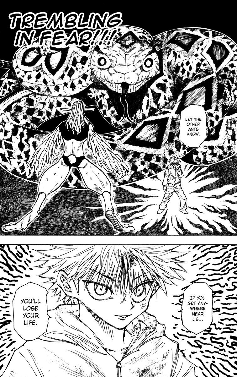 Hunter x Hunter Chapter 219 - Page 13