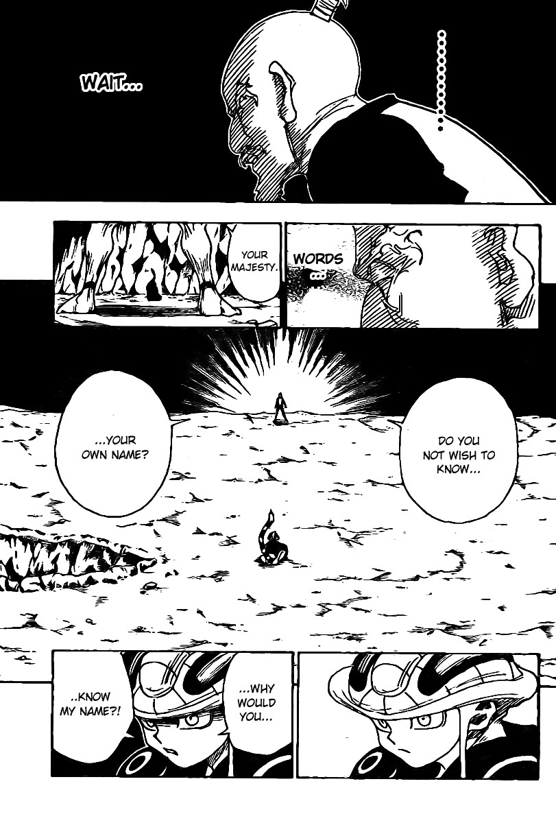 Hunter x Hunter Chapter 290 - Page 16