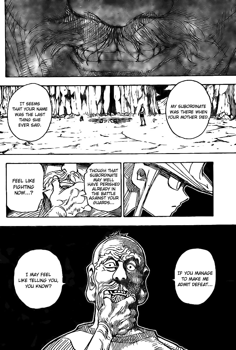 Hunter x Hunter Chapter 290 - Page 17