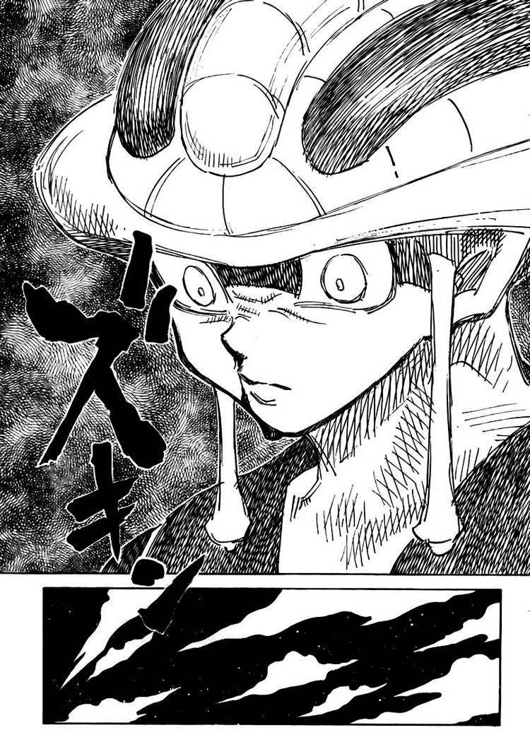 Hunter x Hunter Chapter 310 - Page 13