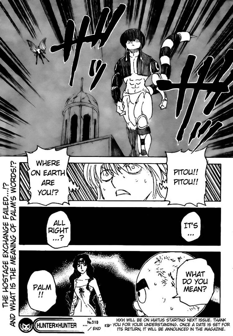 Hunter x Hunter Chapter 310 - Page 19