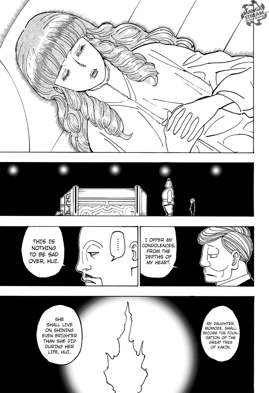 Hunter x Hunter Chapter 371 - Page 19