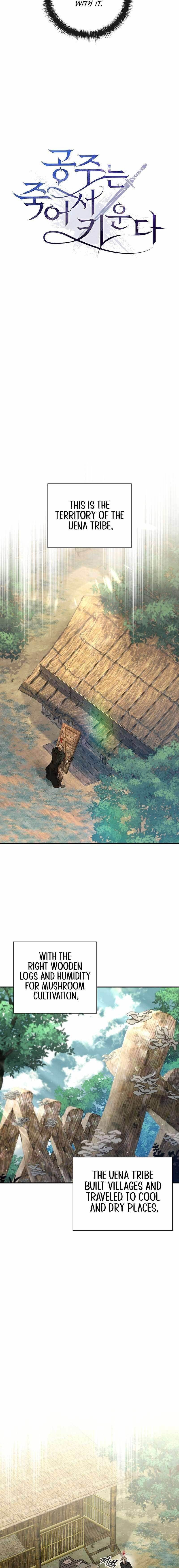 Desperately Making Her a Princess Chapter 30 - Page 6