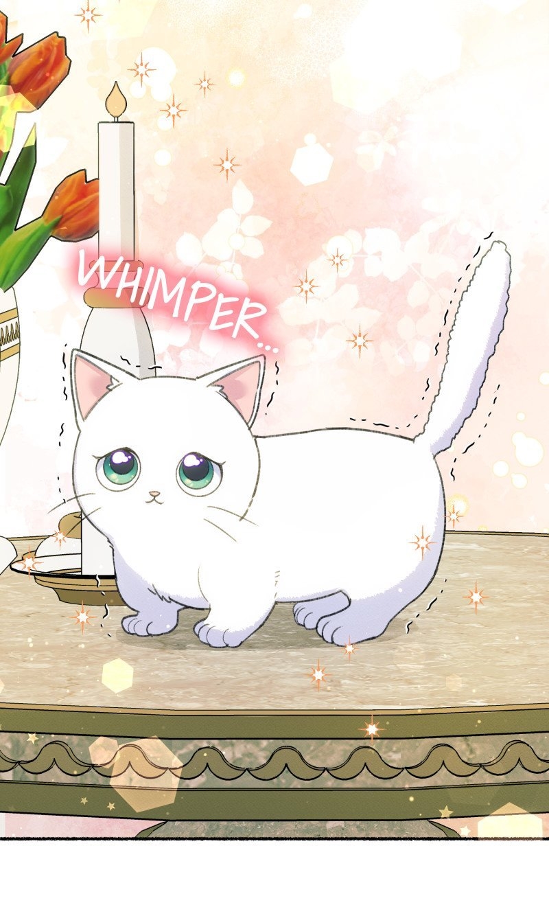 The Possesive Tyrant and His Sleepy Cat Chapter 1 - Page 69