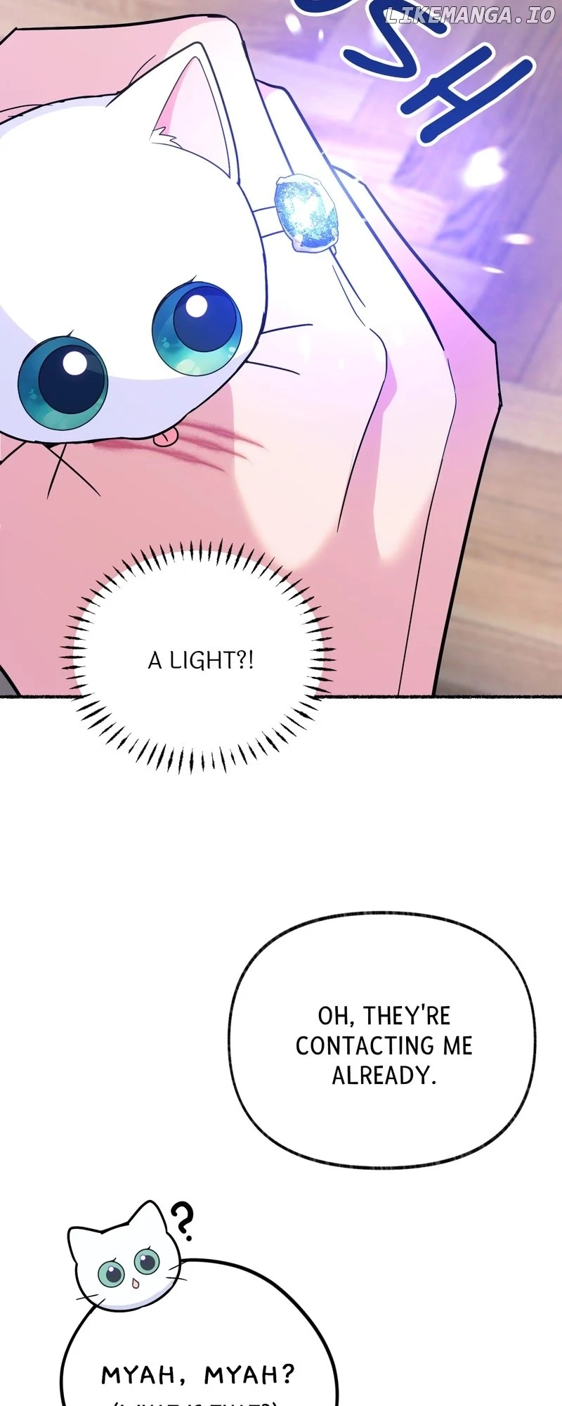 The Possesive Tyrant and His Sleepy Cat Chapter 12 - Page 13