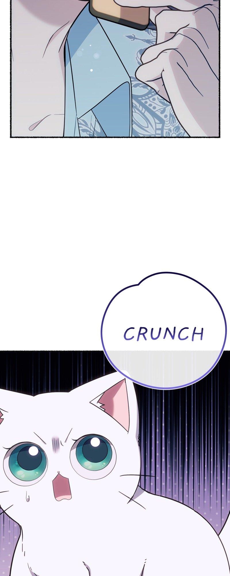 The Possesive Tyrant and His Sleepy Cat Chapter 19 - Page 13