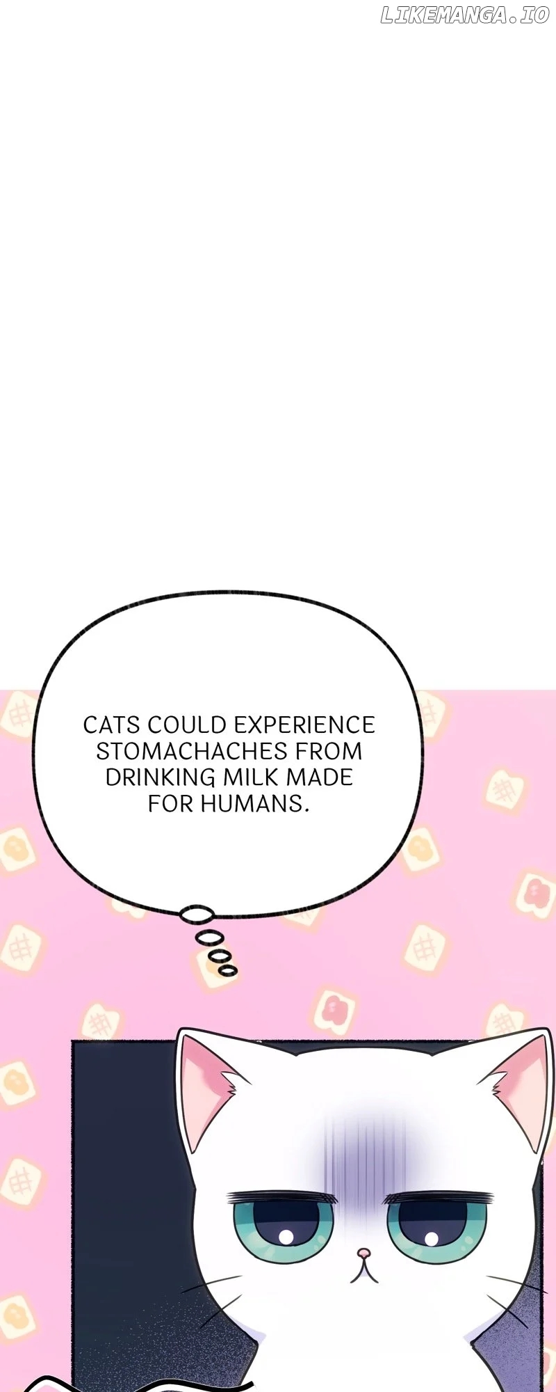 The Possesive Tyrant and His Sleepy Cat Chapter 2 - Page 23