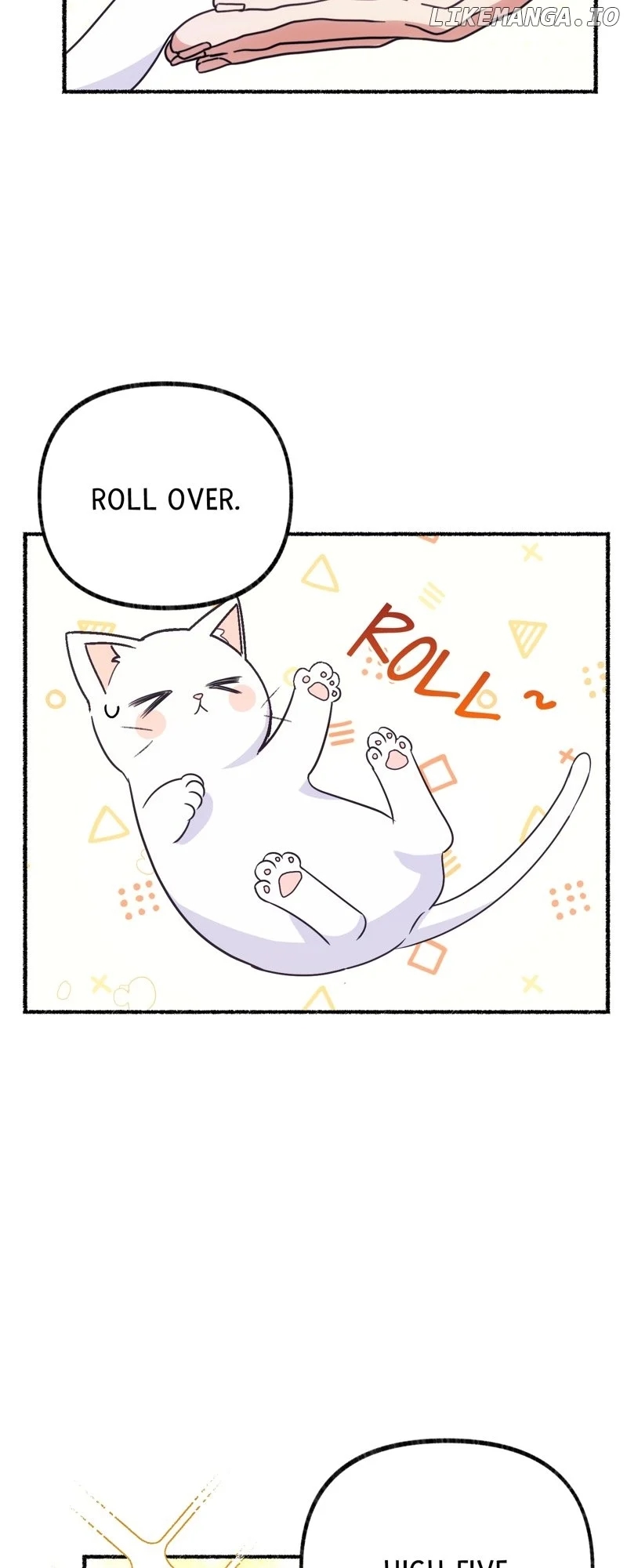 The Possesive Tyrant and His Sleepy Cat Chapter 2 - Page 3