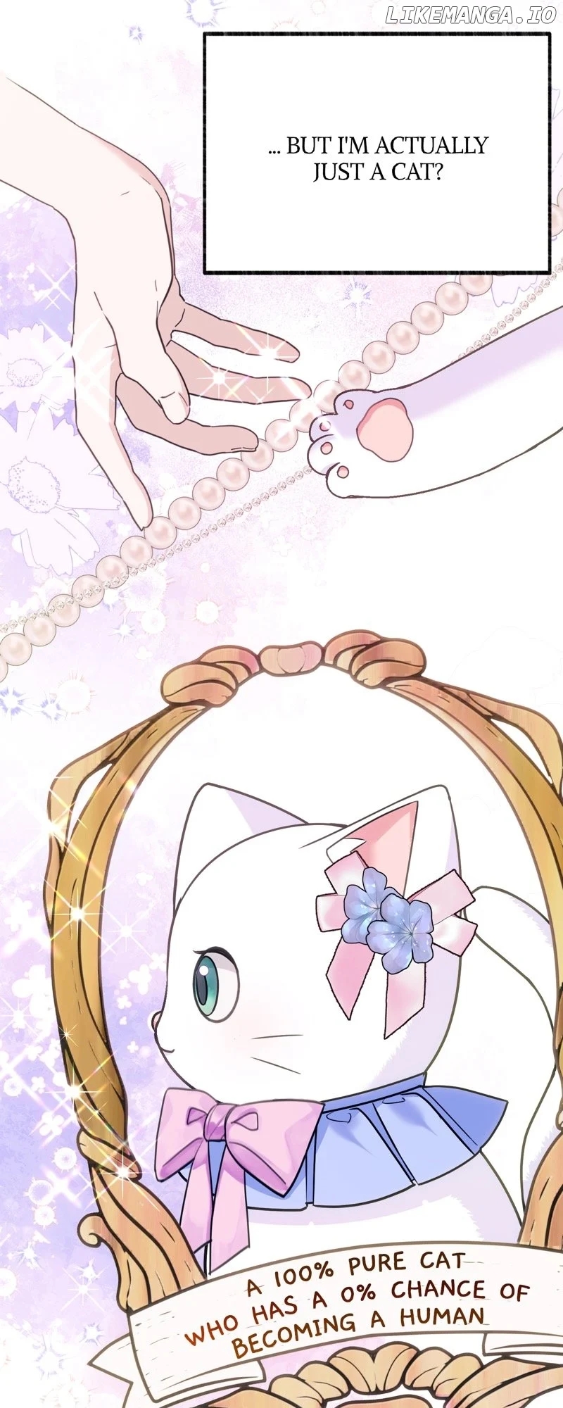 The Possesive Tyrant and His Sleepy Cat Chapter 3 - Page 28