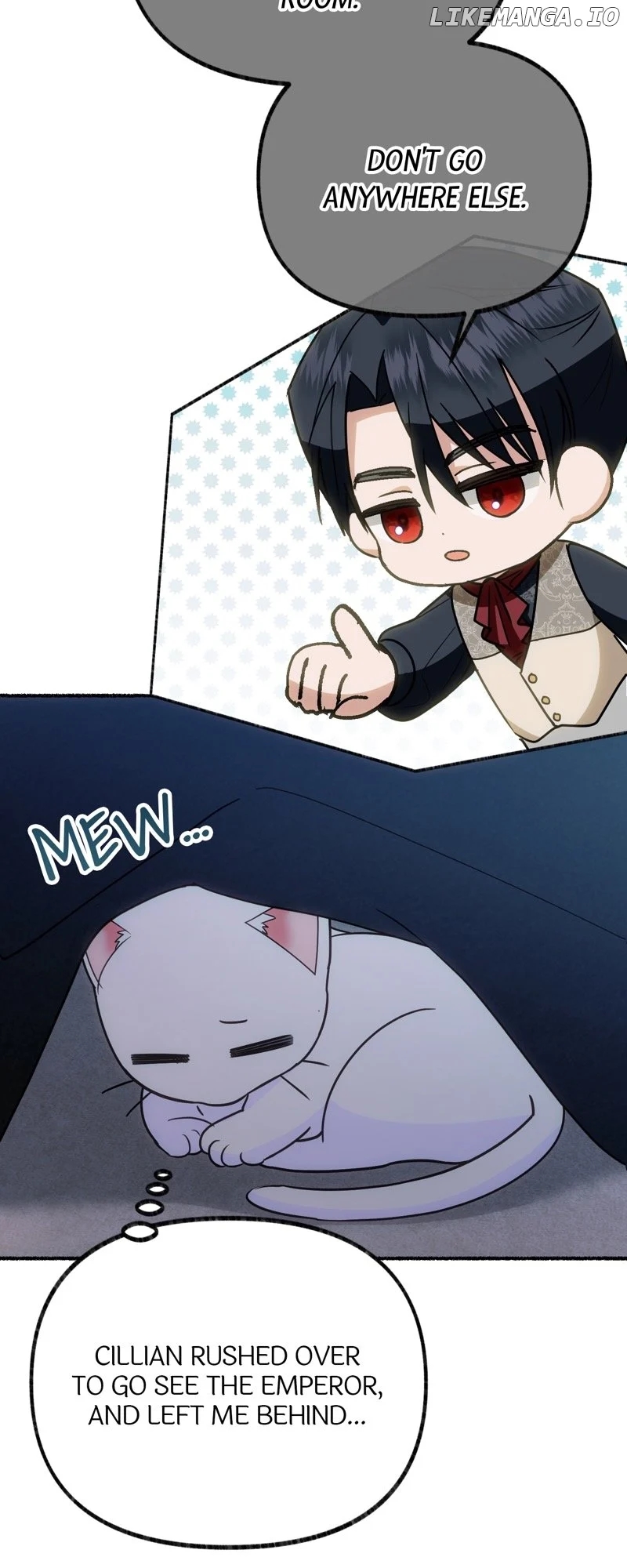 The Possesive Tyrant and His Sleepy Cat Chapter 3 - Page 43