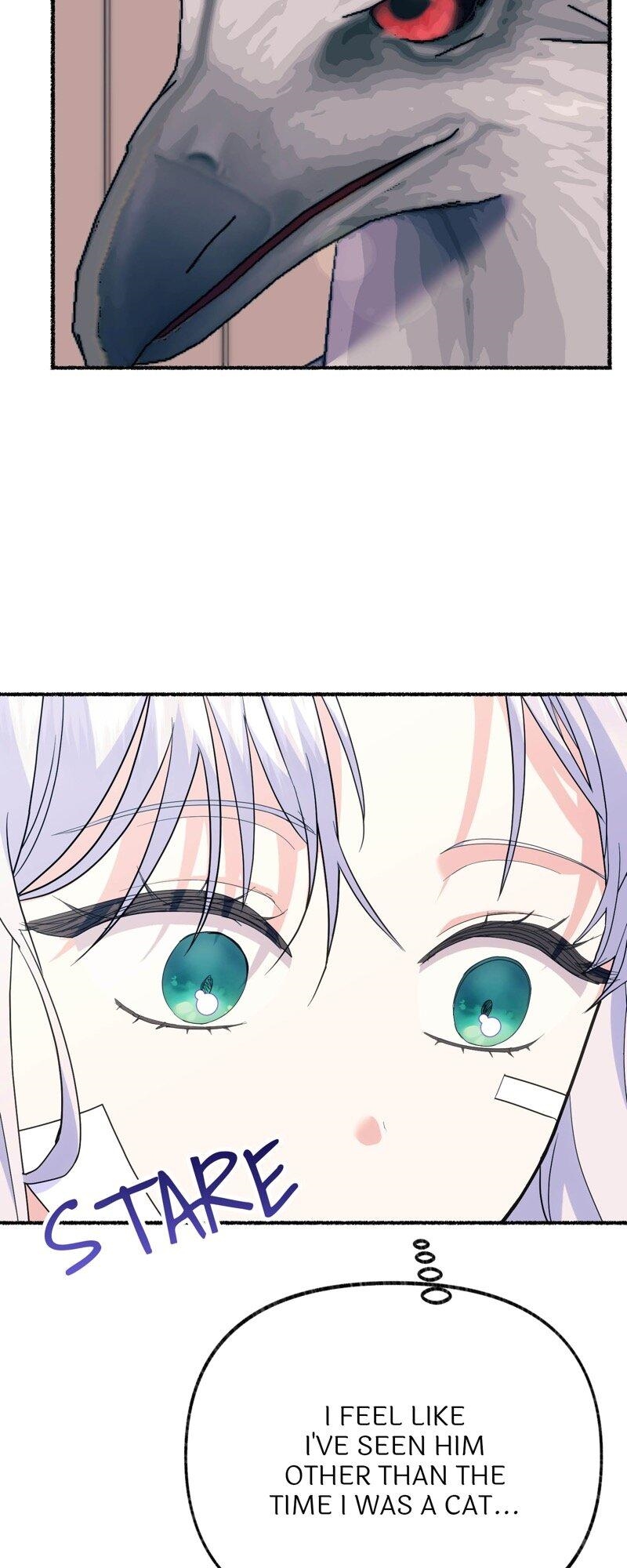 The Possesive Tyrant and His Sleepy Cat Chapter 36 - Page 53