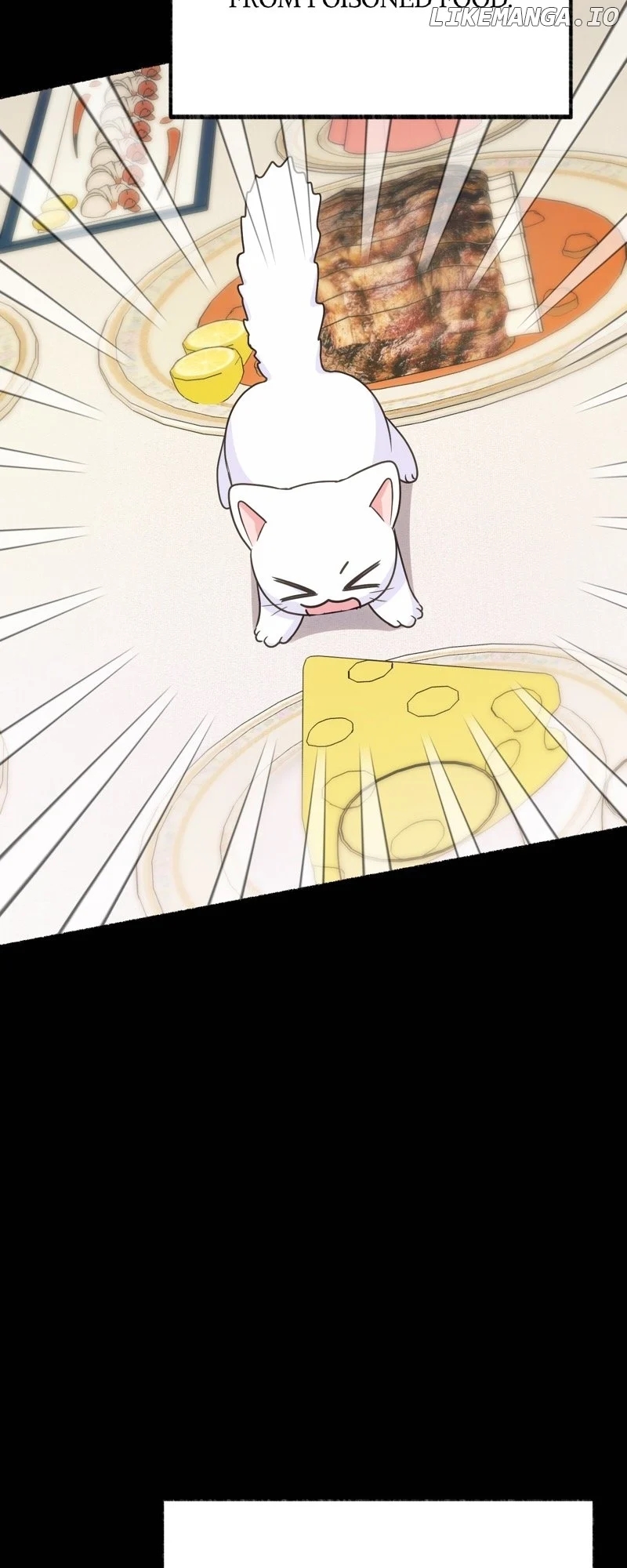 The Possesive Tyrant and His Sleepy Cat Chapter 4 - Page 19