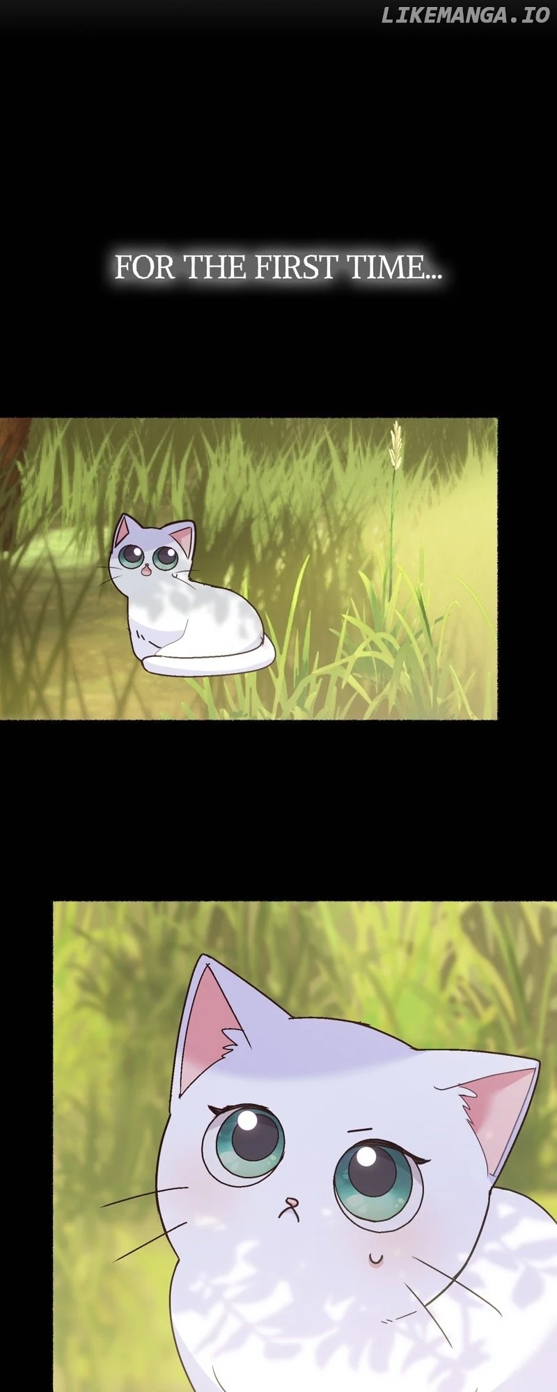 The Possesive Tyrant and His Sleepy Cat Chapter 4 - Page 9