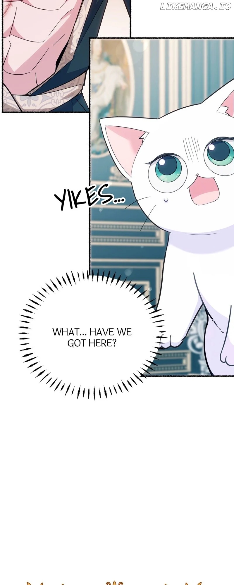 The Possesive Tyrant and His Sleepy Cat Chapter 5 - Page 36