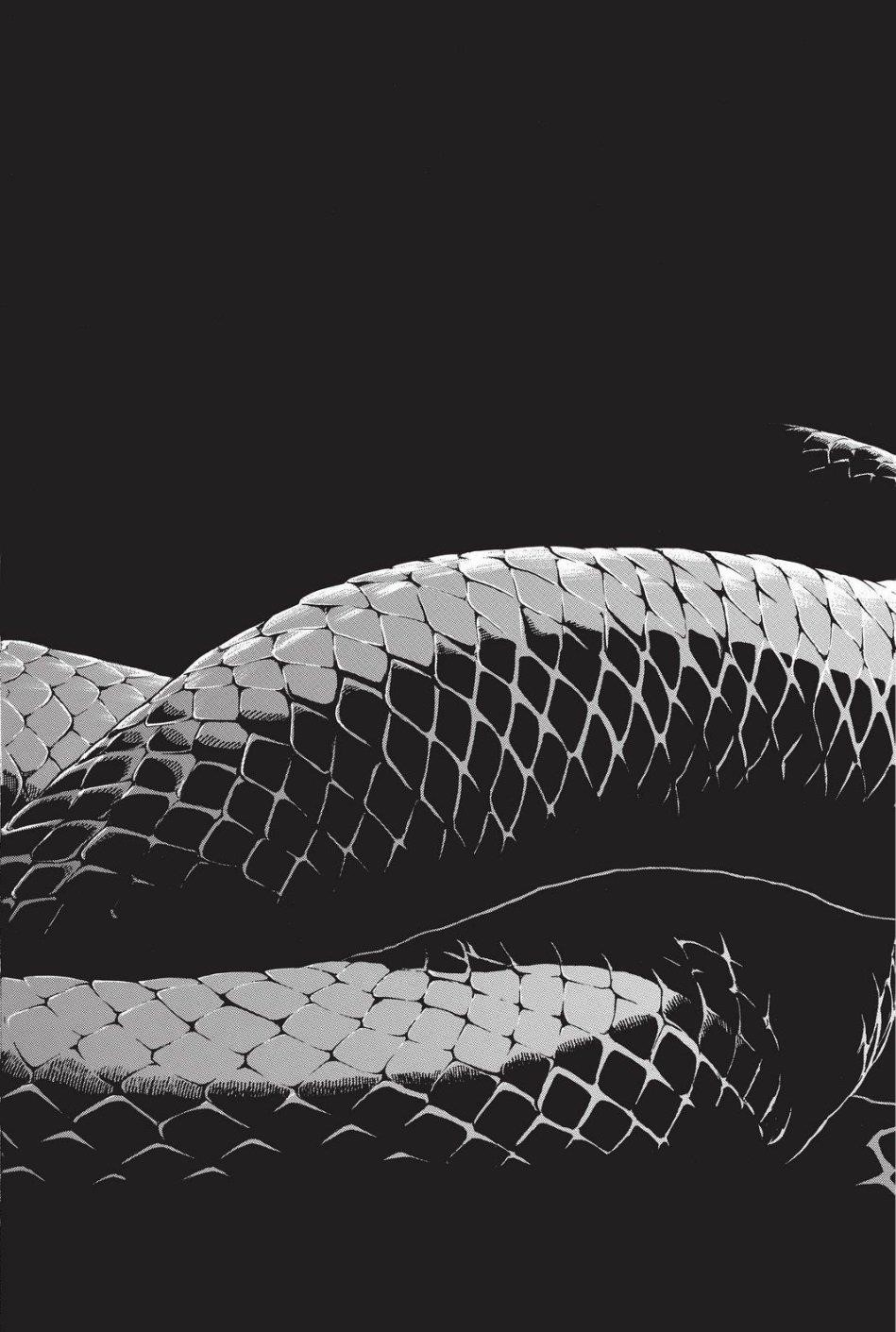 The Heroic Legend of Arslan Chapter 78 - Page 26