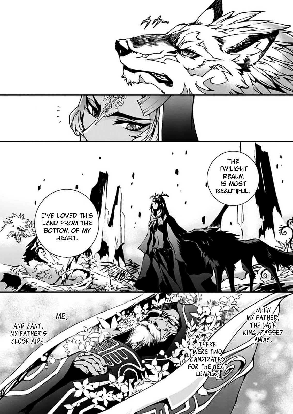 Zelda No Densetsu – Twilight Princess Chapter 1 - Page 8