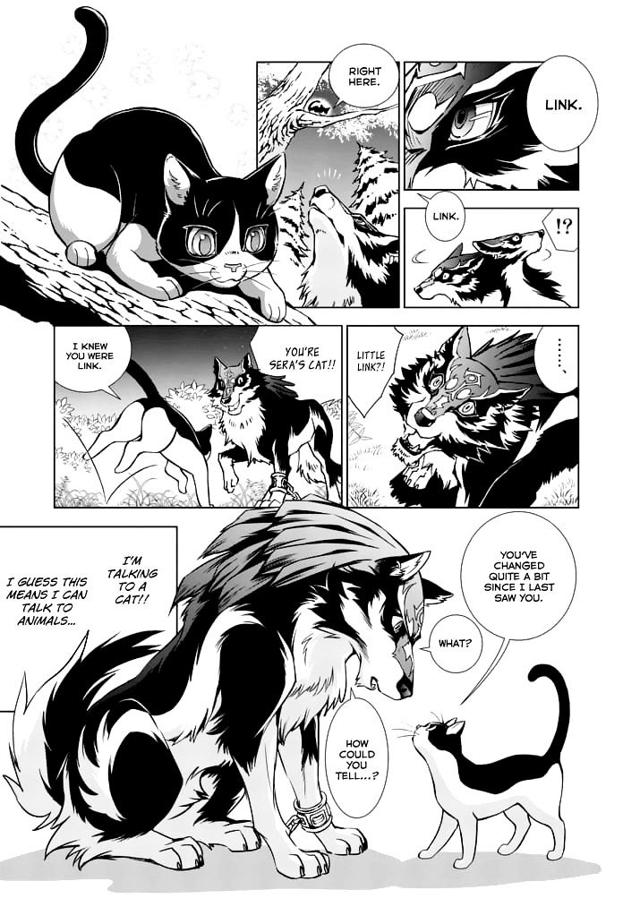 Zelda No Densetsu – Twilight Princess Chapter 14 - Page 20