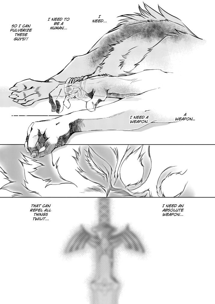 Zelda No Densetsu – Twilight Princess Chapter 15 - Page 15