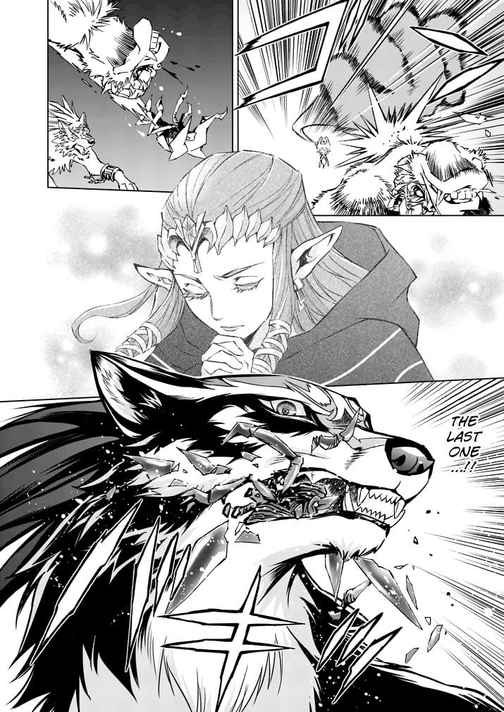 Zelda No Densetsu – Twilight Princess Chapter 15 - Page 22